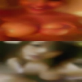 Adult women wanting