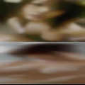 Sex Dover